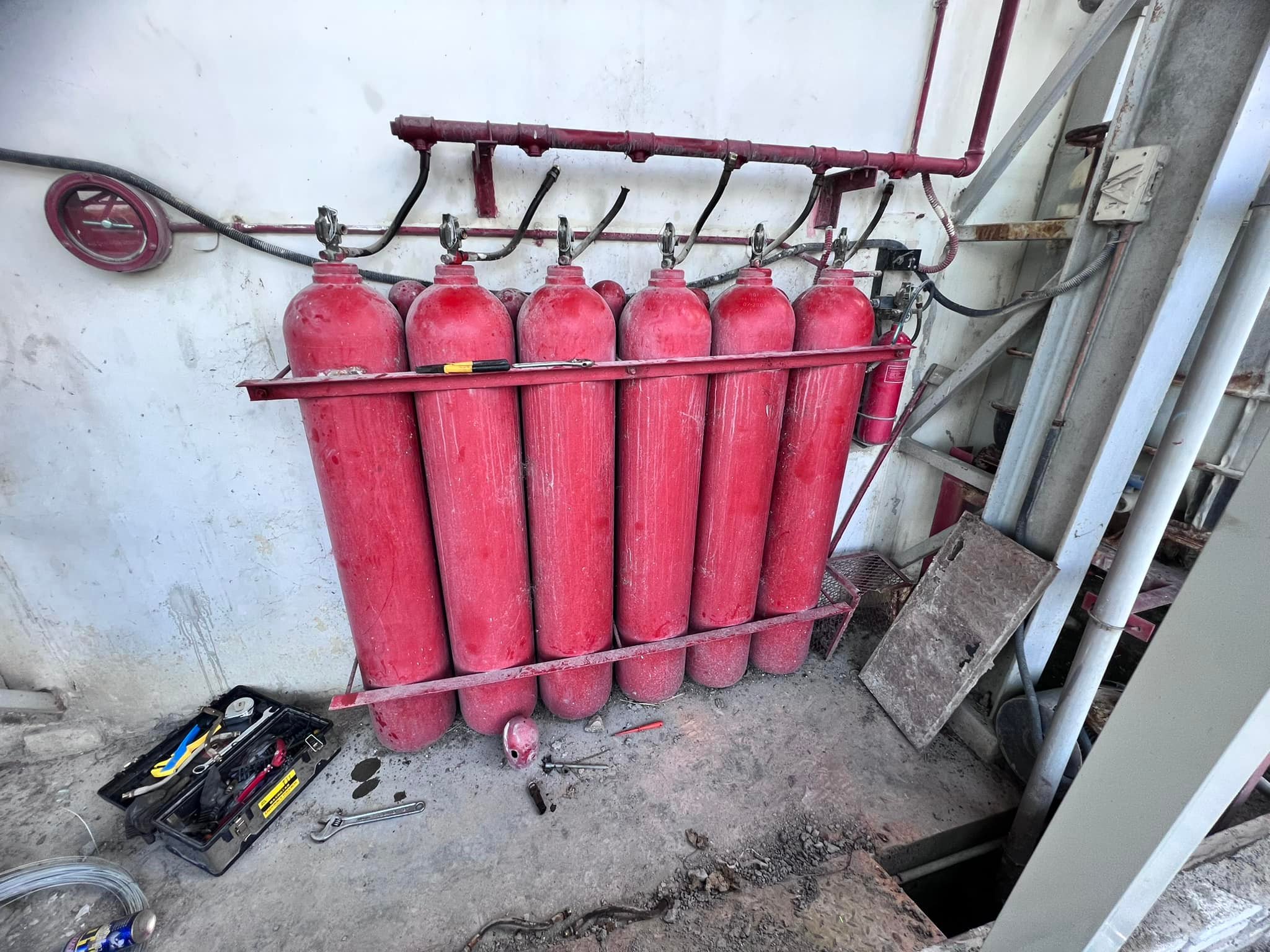 476399345_1136613908260263_6589108677193273134_n